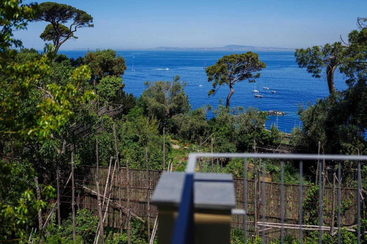 Villa Preziosa-Rubino Sant'Agnello Esterno foto