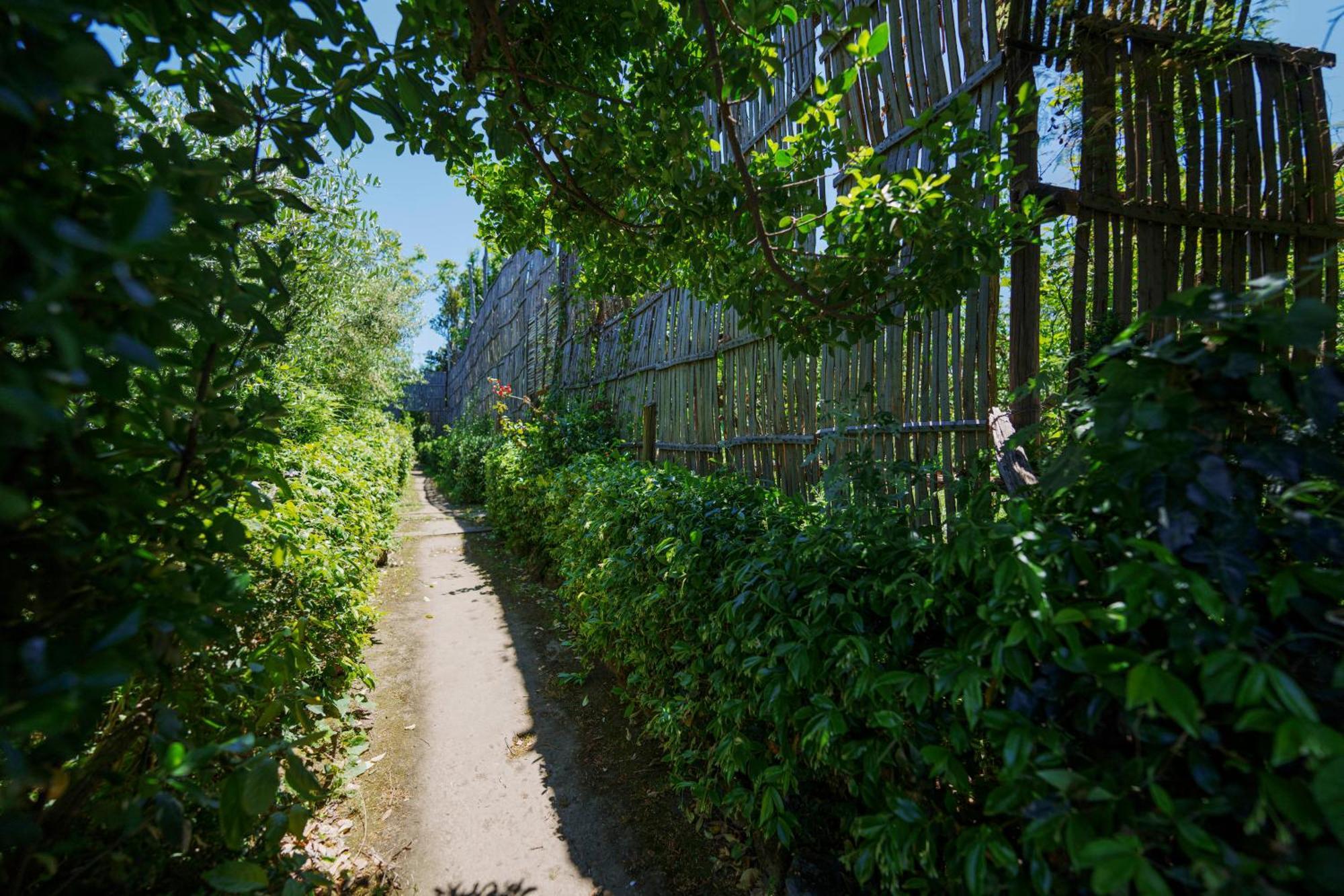 Villa Preziosa-Rubino Sant'Agnello Esterno foto